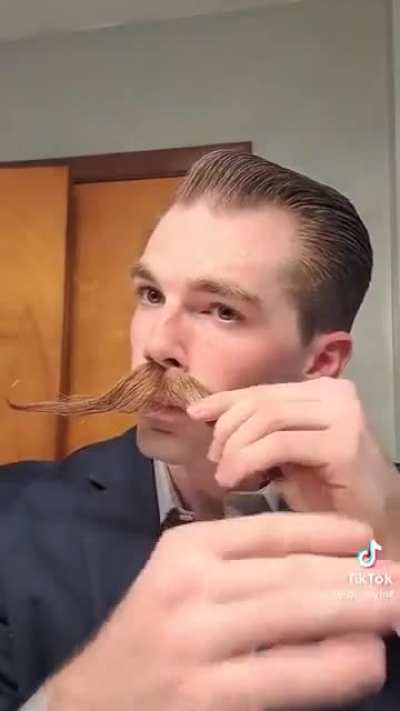 of a mustache.