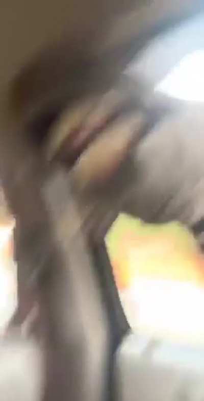 Nice safari adventure