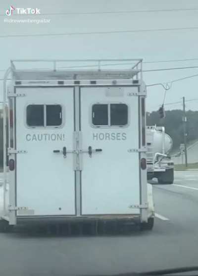 Caution! Horses