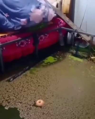 This video looks like a seizure feels