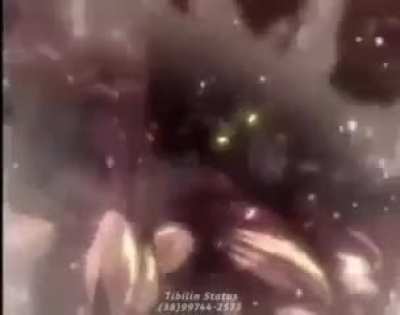 Titan 