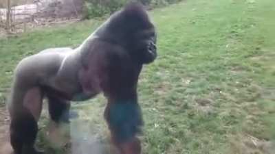 KGBTR - Video #6157