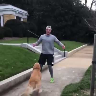 Golden girl spots her dad on the street