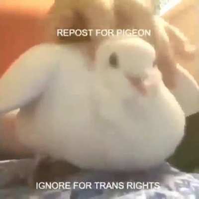 Sla