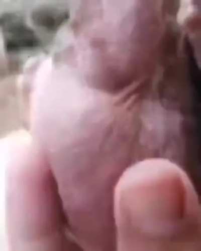 Rate my PP