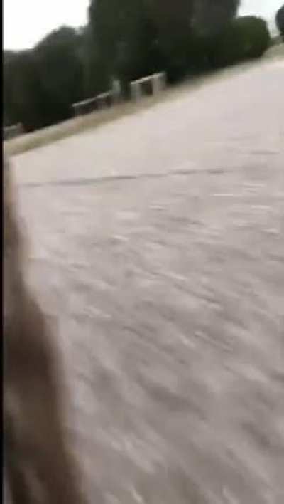 corre corre