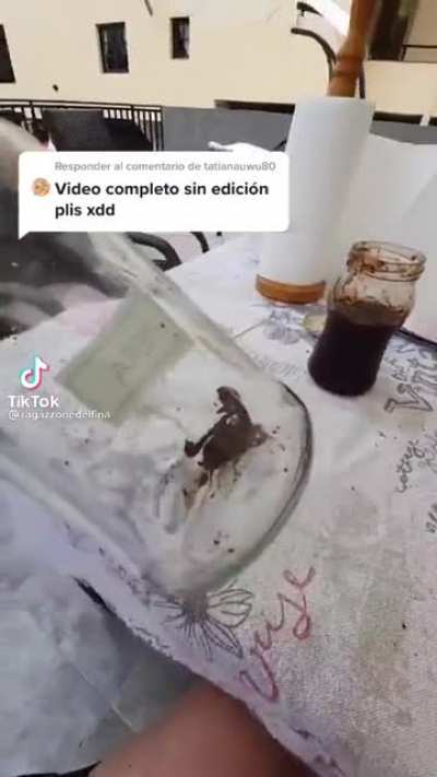 "Look what we just found"