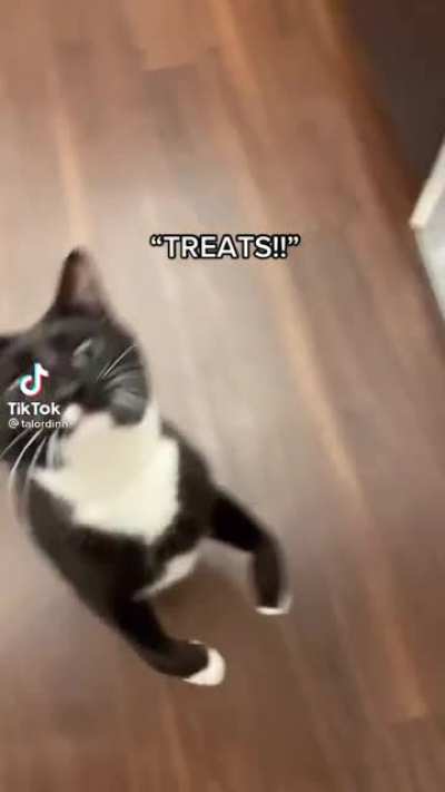 AAAA