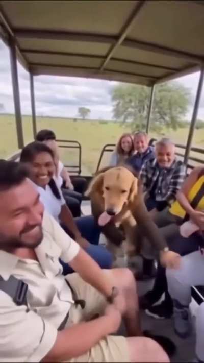 Guys help! The lady in yellow's shirt seems a little off....