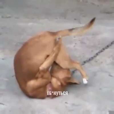 ??????? 40.9