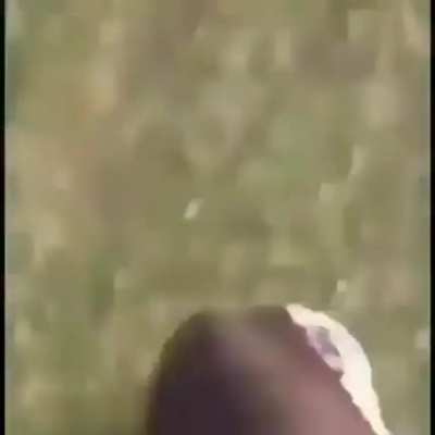 OrochiLive - Video #5465