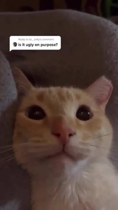 Title