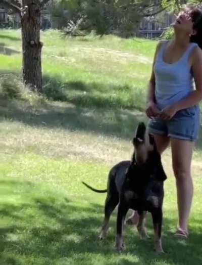 🐕 &ldquo;HELLOOOOOO&rdquo; 🐕