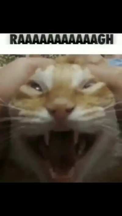​