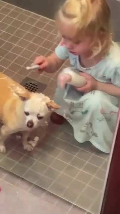 Oh my dog