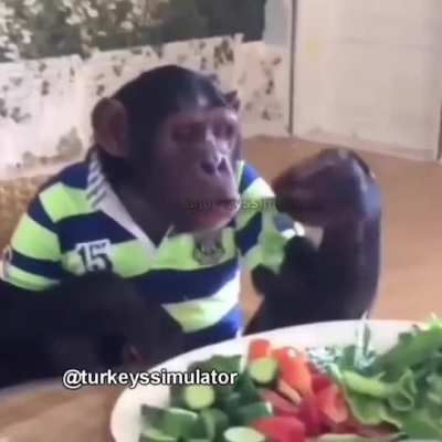 Aslında klip b&ouml;yle olacakmış