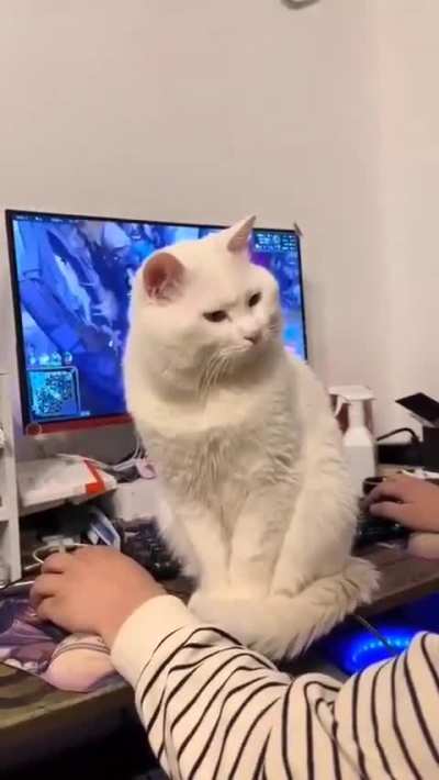 Да сколько можно играть?!