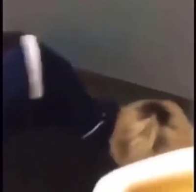 LEAKED VIDEO OF XQC FIGHTING IN HIGHSCHOOL!!!!!