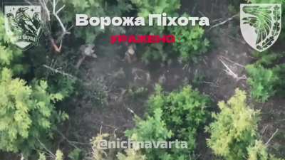 Ukrainian drone pilots from the 1st Motorized Battalion "Night Watch" of the 93rd Mechanized Brigade targets two Russian soldiers with dropped grenades, eliminating one