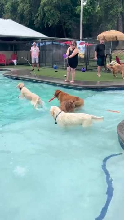 Pool party!