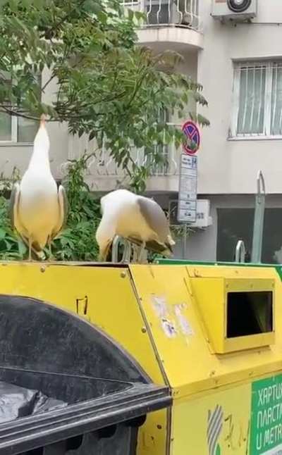 Весёлая шутка