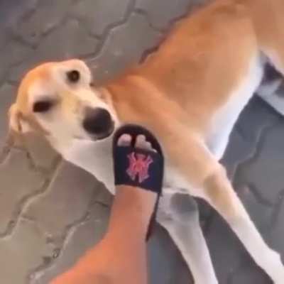eu juro n&atilde;o da susto