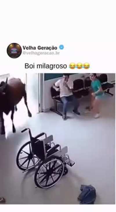 Quando eu t&ocirc; indo na per&iacute;cia do INSS:
