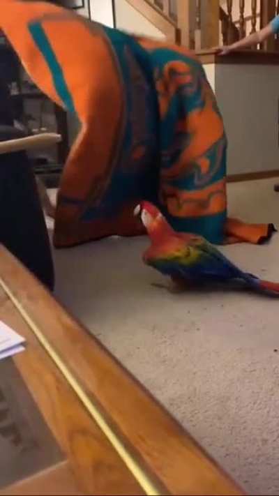 wait till the end