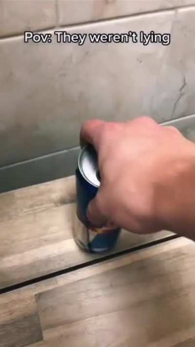 Fly human
