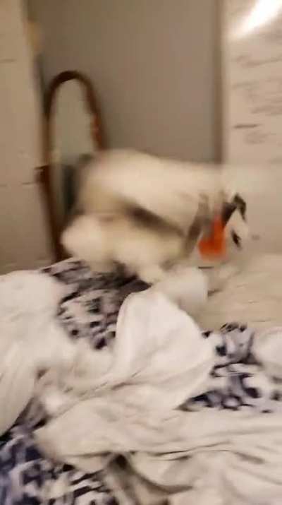 Clean sheets are a CRIME