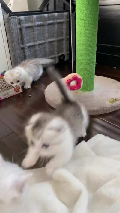 It's Play Time (Can't Touch This)