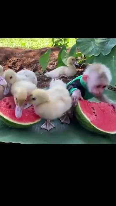 Sharing is caring
