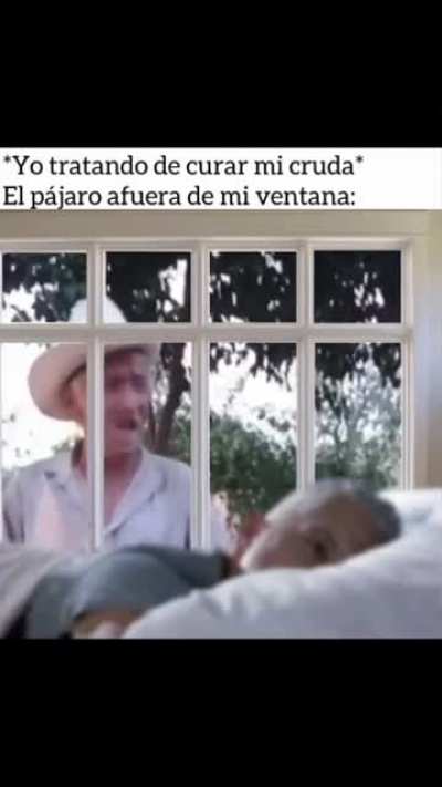Feliz Domingo
