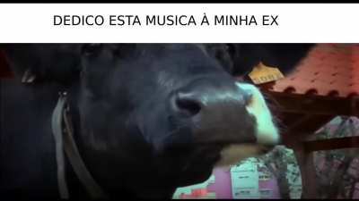 ex_nvr