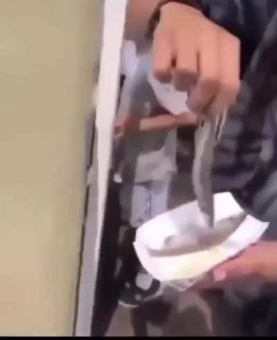 My spirit animal. Just wait for it.