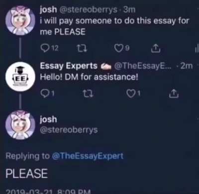 based essay expert 🗿