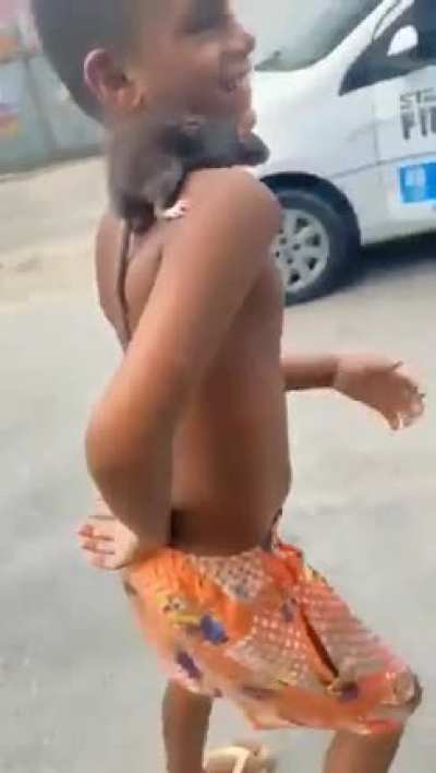 os pets na quebrada s&atilde;o assim