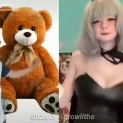 Mira el oso
