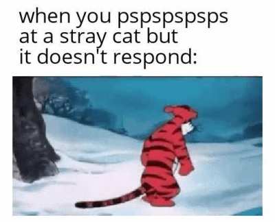 My day is ruined