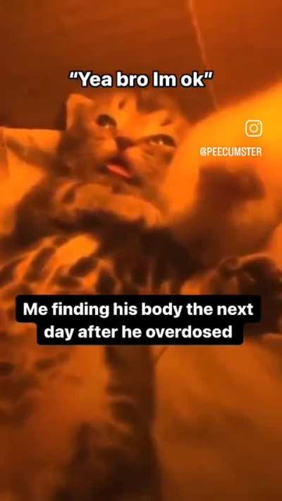 Wish I checked in on him sooner