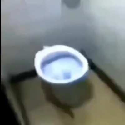 WTF QUE PASÓ?