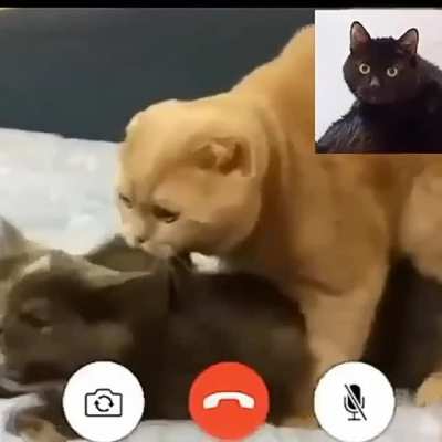 (Y&Uuml;KSEK SES VAR) size &ccedil;aresizliği anlatamam ama g&ouml;sterebilirim