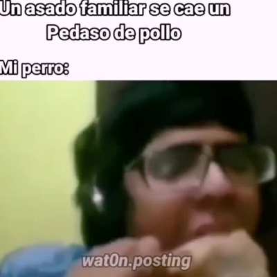 El pollo
