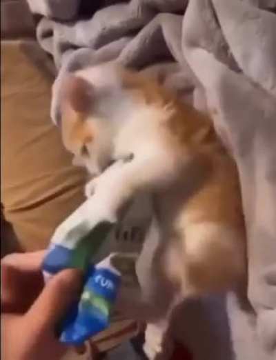 NOOOO!