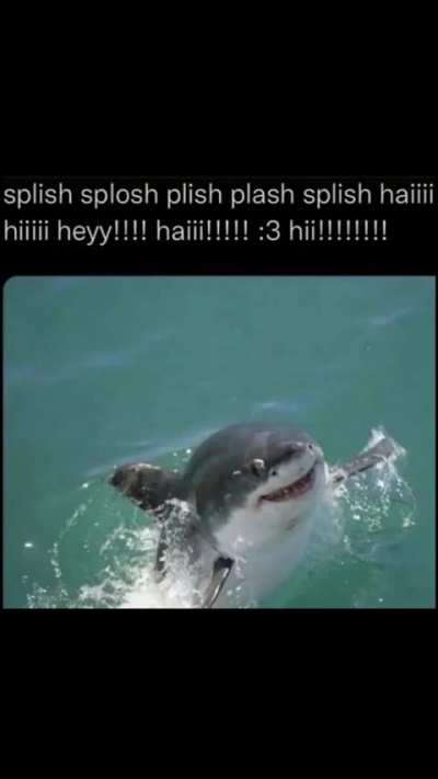 Shark rule