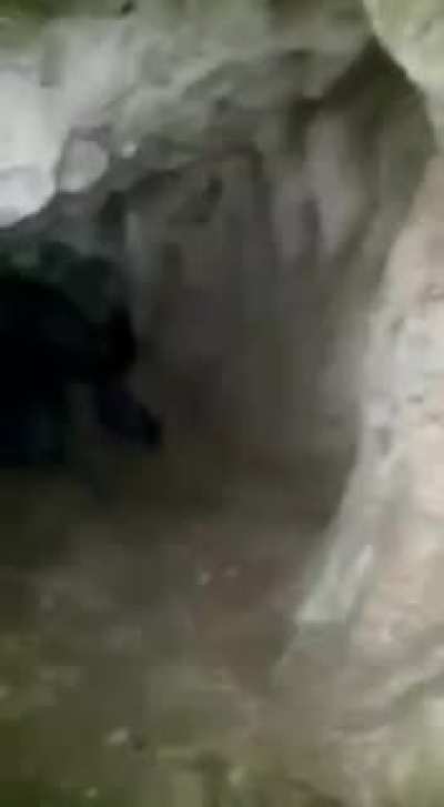 This is from a treasure hunt, you can see the protector at 00:10.