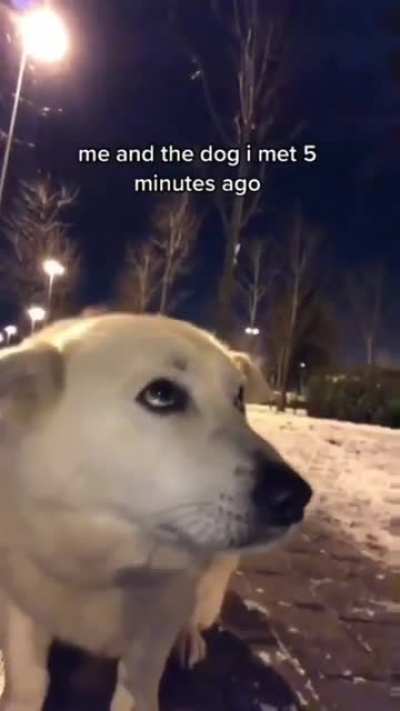me_irl