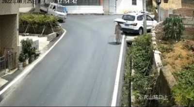 Out of control truck hits a pedestrian
