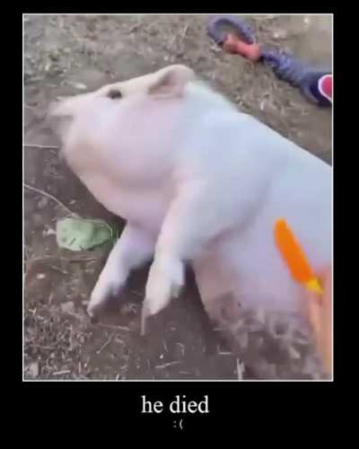 Um dia sombrio para todos