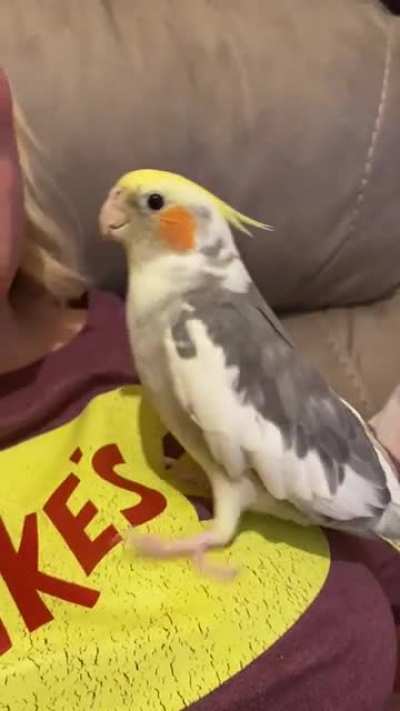 He&rsquo;s so smart! &amp;lt;3 Cluck your beak!